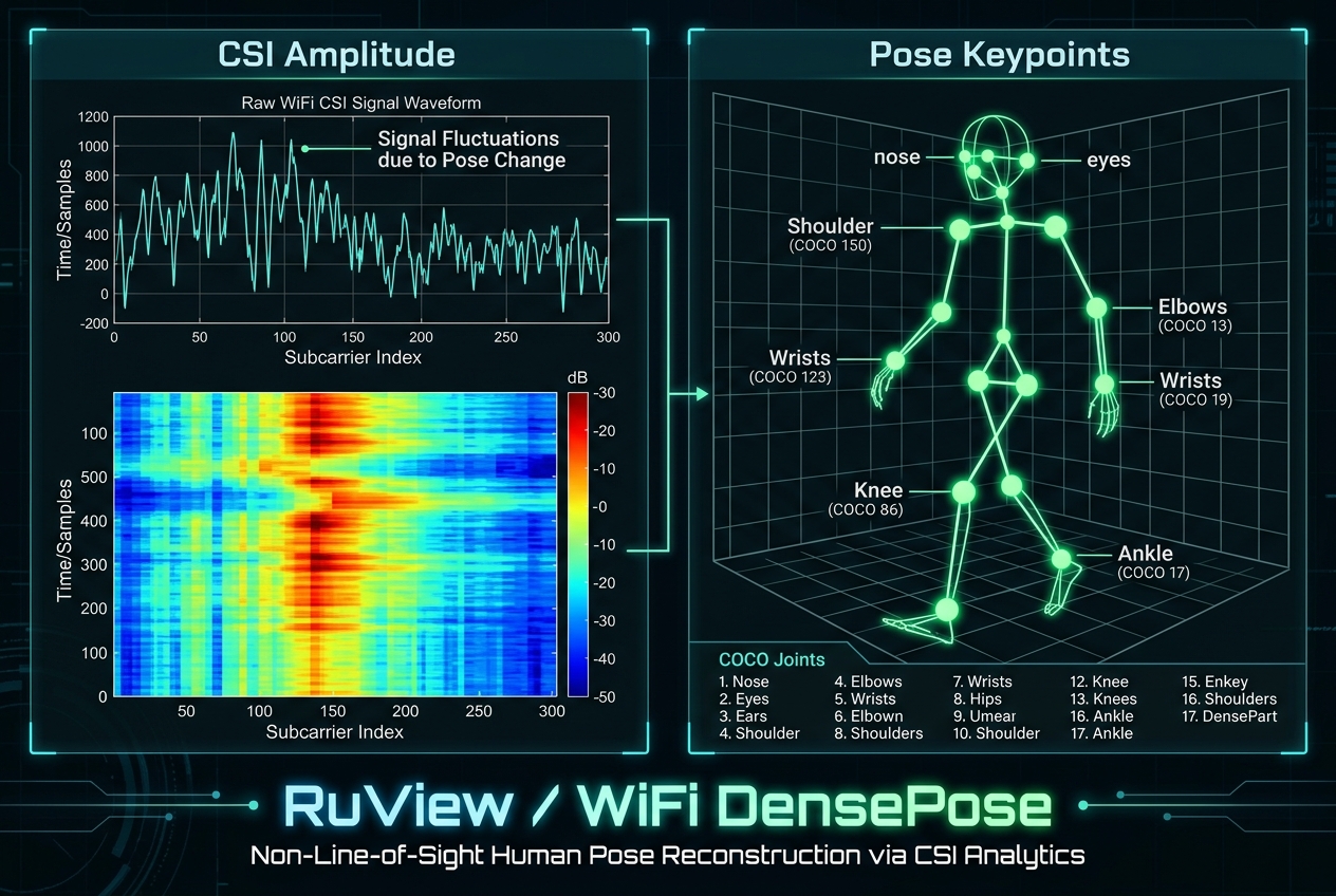 RuView & WiFi DensePose 3D Skeleton